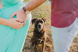 grand cayman maternity family dog photography