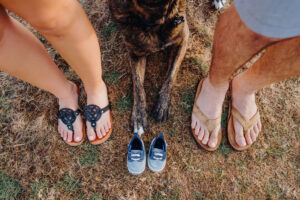 grand cayman maternity family dog photography