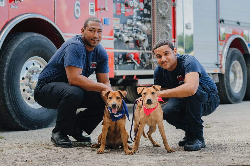 dog puppy fire fighter cayman humane society photography