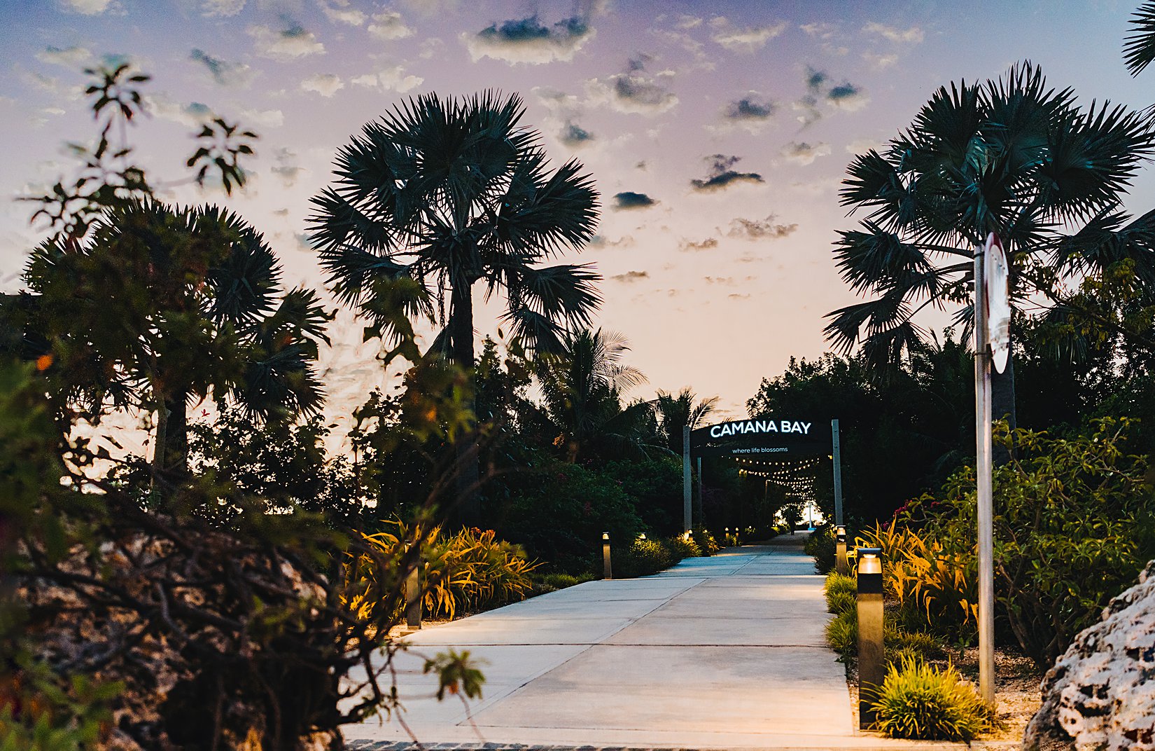 commercial environmental photographer sunset auckland new zealand