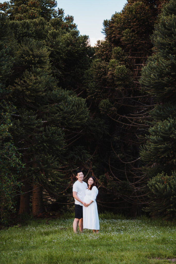 auckland botanical gadrens maternity photographer